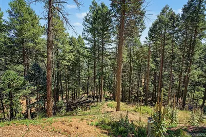 2199 Badger Drive, Larkspur, CO 80118 - Photo 21