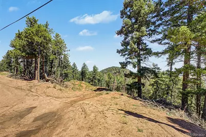 2199 Badger Drive, Larkspur, CO 80118 - Photo 7