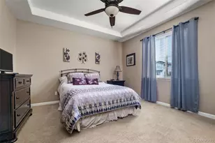 4455 Hydrangea Way, Castle Rock, CO 80109 - Photo 13