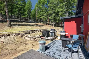1089 Burland Dr, Bailey, CO 80421 - Photo 23