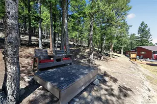 1089 Burland Dr, Bailey, CO 80421 - Photo 25