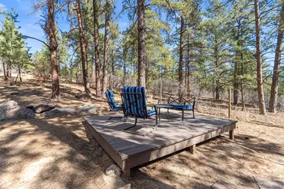7280 Marshall Road, Larkspur, CO 80118 - Photo 43