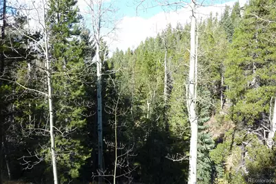 604 Castlewood Drive, Evergreen, CO 80439 - Photo 9