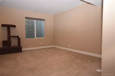 15982 St Paul Street, Brighton, CO 80602 - Photo 41