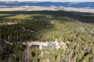 16874 County Rd 325, Buena Vista, CO 81211 - Photo 5