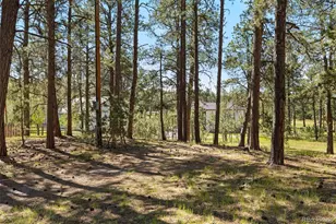 7005 Shoup Rd, Colorado Springs, CO 80908 - Photo 15