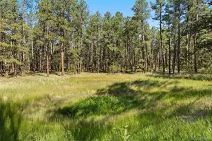 7005 Shoup Rd, Colorado Springs, CO 80908 - Photo 11