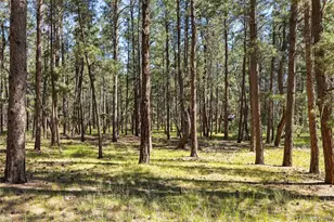7005 Shoup Rd, Colorado Springs, CO 80908 - Photo 13