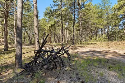 7005 Shoup Road, Colorado Springs, CO 80908 - Photo 5