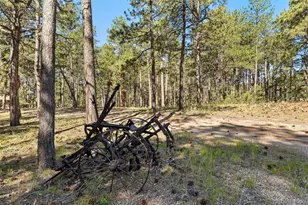 7005 Shoup Rd, Colorado Springs, CO 80908 - Photo 5