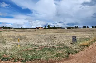 714 Empire Rd, Florissant, CO 80816 - Photo 1