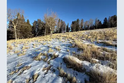 Lot 499 Collinson Drive, Fort Garland, CO 81133 - Photo 3