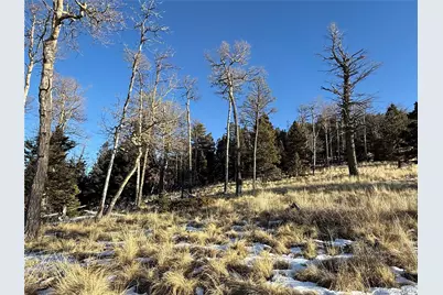 Lot 499 Collinson Drive, Fort Garland, CO 81133 - Photo 23