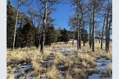 Lot 499 Collinson Drive, Fort Garland, CO 81133 - Photo 13