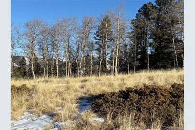 Lot 499 Collinson Drive, Fort Garland, CO 81133 - Photo 21