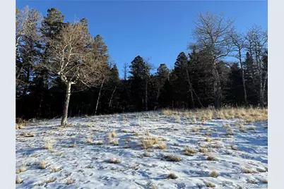 Lot 499 Collinson Drive, Fort Garland, CO 81133 - Photo 11
