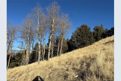 Lot 499 Collinson Drive, Fort Garland, CO 81133 - Photo 27