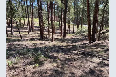 8141 Delaware Place, Larkspur, CO 80118 - Photo 27