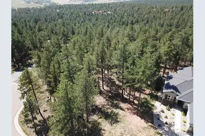 8141 Delaware Place, Larkspur, CO 80118 - Photo 11