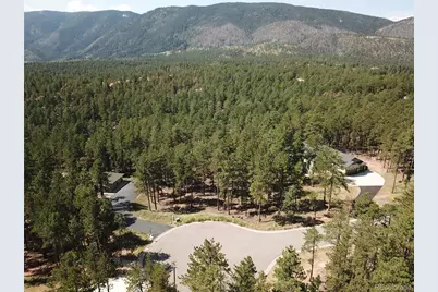 8141 Delaware Place, Larkspur, CO 80118 - Photo 7