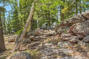 13432 Riley Peak Rd, Conifer, CO 80433 - Photo 45