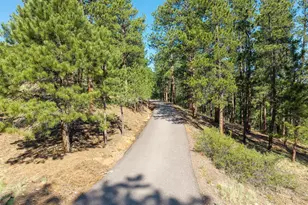 2828 Quartz Ridge Rd, Evergreen, CO 80439 - Photo 45