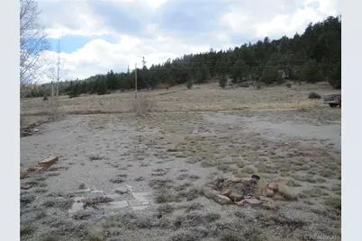 277 Tressel Trail, Hartsel, CO 80449 - Photo 7