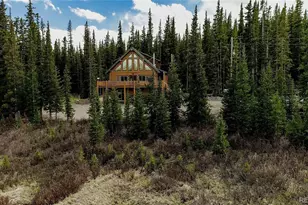 629 Bum Dr, Fairplay, CO 80440 - Photo 37
