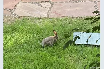 1401 Delgany Street #203, Denver, CO 80202 - Photo 23