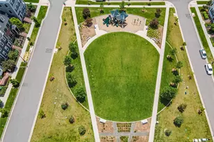 5223 Chester St, Denver, CO 80238 - Photo 3