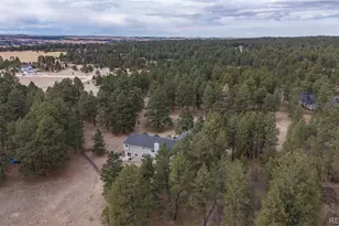 35348 Quick Fox Ct, Elizabeth, CO 80107 - Photo 43