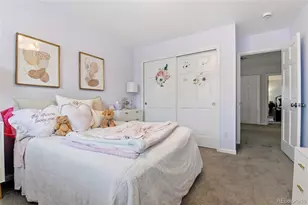 3004 Ravenhill Circle, Littleton, CO 80126 - Photo 31