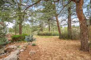 6601 S Trailway Circle, Parker, CO 80134 - Photo 41