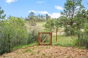 6601 S Trailway Circle, Parker, CO 80134 - Photo 39