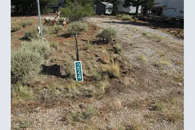 224 Lantern Loop, Hartsel, CO 80449 - Photo 9