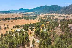 1219 Yarnell Dr, Larkspur, CO 80118 - Photo 31