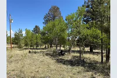 9430 Ranch Road, Hartsel, CO 80449 - Photo 7
