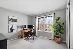 10330 Lions Path, Lone Tree, CO 80124 - Photo 27