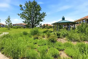 6223 Kilmer Loop, Golden, CO 80403 - Photo 43