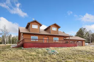937 Pitchfork Rd, Hartsel, CO 80449 - Photo 5