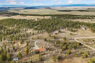 937 Pitchfork Rd, Hartsel, CO 80449 - Photo 41