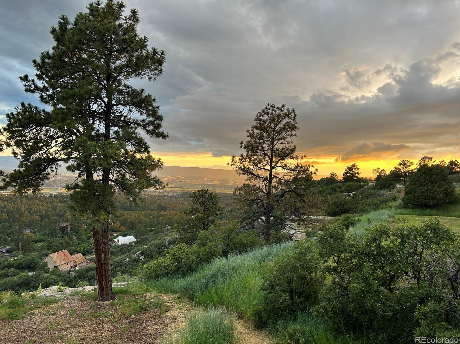 5059 Mesa Dr, Castle Rock CO 80108-9358 exterior