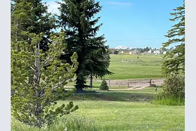 3447 Wild Rose Circle, Parker, CO 80138 - Photo 31