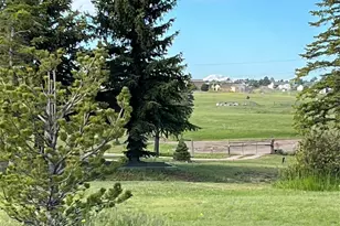 3447 Wild Rose Cir, Parker, CO 80138 - Photo 31