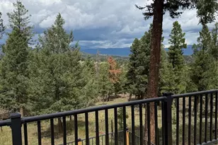71 Columbine Dr, Bailey, CO 80421 - Photo 27