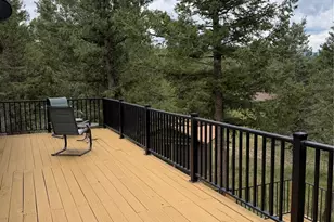 71 Columbine Dr, Bailey, CO 80421 - Photo 29