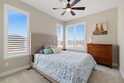 6302 Emporia Street, Denver, CO 80238 - Photo 31