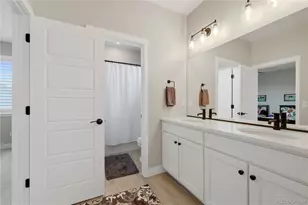 6302 Emporia St, Denver, CO 80238 - Photo 29
