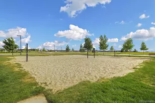 6302 Emporia St, Denver, CO 80238 - Photo 49