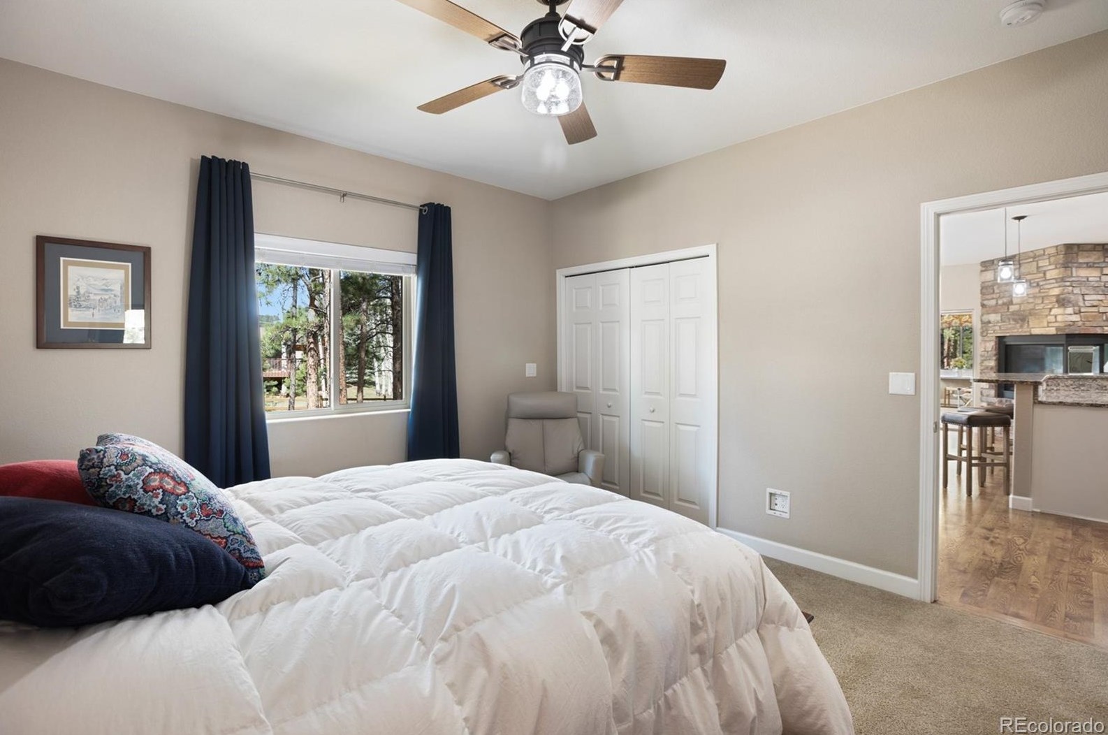 1174 Ptarmigan Dr, Woodland Park CO 80863-8005 exterior